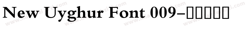 New Uyghur Font 009字体转换